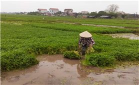 Chung tay bảo vệ người nông dân trước những thông tin sai lệch