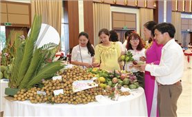 Mộc Châu (sơn la): Phát triển kinh tế từ cây ăn quả