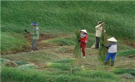 Bình Định: Làng nghề truyền thống đổi mới để phát triển