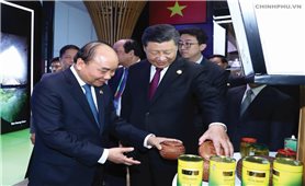 Thủ tướng Nguyễn Xuân Phúc dự Hội chợ nhập khẩu quốc tế Trung Quốc lần thứ nhất