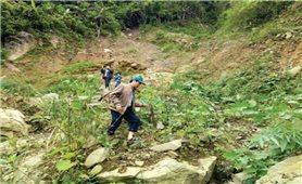 Quảng Ngãi: Người dân Ba Giang bất an vì nứt núi