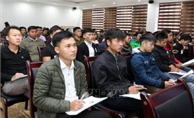 Lào Cai tìm giải pháp hỗ trợ lao động dân tộc thiểu số