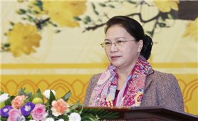 Chủ tịch Quốc hội Nguyễn Thị Kim Ngân gặp mặt báo chí nhân dịp Xuân Kỷ Hợi 2019
