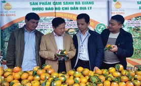 Hà Giang: Giá trị sản phẩm nông nghiệp tăng cao nhờ chỉ dẫn địa lý