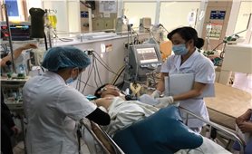 Nguy kịch vì uống rượu ngâm thập cẩm