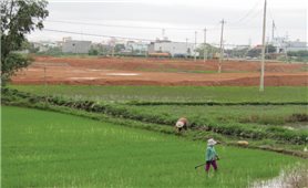 Bình Định: Các dự án bất động sản ảnh hưởng sinh kế người dân