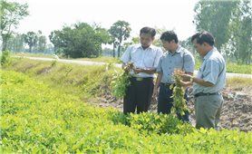 An giang: Hiệu quả chính sách dân tộc ở các huyện miền núi, biên giới