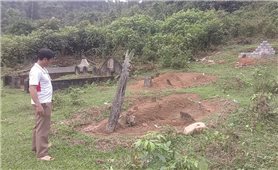 Xã Giao Thiện: Dân “liều” chôn người mất trong rừng phòng hộ
