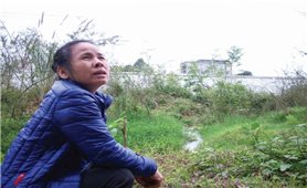 Lào Cai: Các khu công nghiệp gây ô nhiễm môi trường nghiêm trọng