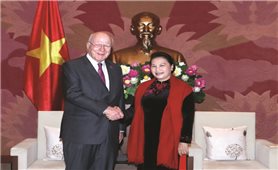 Chủ tịch Quốc hội Nguyễn Thị Kim Ngân tiếp Đoàn Thượng nghị sỹ Hoa Kỳ