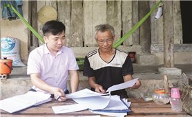 Nhiều sai phạm tại Quỹ hỗ trợ Hội Nông dân Quỳnh Tân