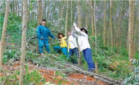 Ðưa điện lưới quốc gia về các làng đặc biệt khó khăn: Hiện thực hóa ước mơ của người dân