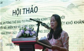 Hội thảo góp ý Đề án về phát triển vùng DTTS, miền núi, vùng ĐBKK