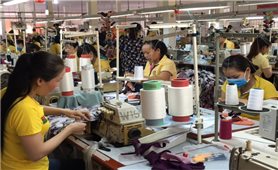 Ba lý do chính cần sửa đổi Bộ luật Lao động