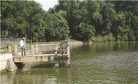 Lào Cai: Cần sớm nâng cấp, sửa chữa các hồ thủy lợi