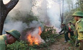 Cháy rừng ở miền Trung - nhìn lại yếu tố tự nhiên và xã hội