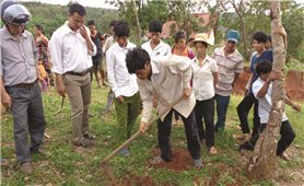 Tăng cường hợp tác quốc tế hỗ trợ phát triển kinh tế-xã hội vùng đồng bào DTTS: Cần một cách làm mới