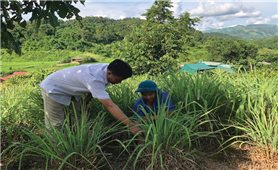 Mường Nhé (Điện Biên): Phát huy vai trò cán bộ dân tộc  thiểu số trong phát triển KT-XH