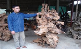Làng nghề gỗ lũa ở Lâm Sơn