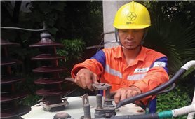Thanh Hóa: Nỗ lực khắc phục lưới điện sau lũ