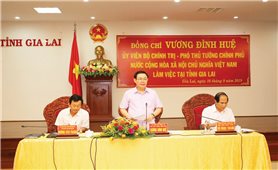 Phó Thủ tướng Vương Đình Huệ làm việc tại tỉnh Gia Lai