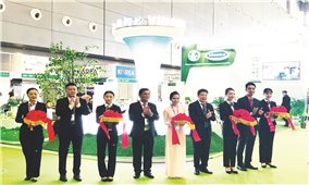 Công ty Cổ phần sữa Việt Nam: “Chào sân” ấn tượng tại thị trường Trung Quốc