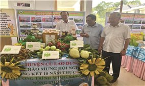 Cù Lao Dung (Sóc Trăng): Tái cơ cấu nông nghiệp thích ứng với BĐKH