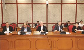 Bộ Chính trị cho ý kiến về Đề án tổng kết 10 năm thực hiện Kết luận số 48 và số 60 của Bộ Chính trị khóa X