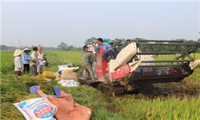 Vĩnh Tường (Vĩnh Phúc): Hỗ trợ Hợp tác xã nông nghiệp phát triển
