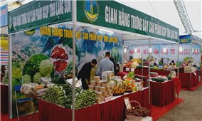 Lạng Sơn: Đánh giá, phân hạng sản phẩm OCOP đợt 1 năm 2020