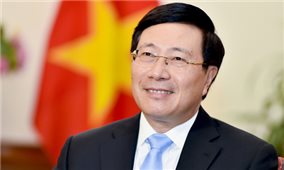 Phó Thủ tướng Phạm Bình Minh dự Hội nghị đặc biệt ASEAN-Trung Quốc ứng phó COVID-19