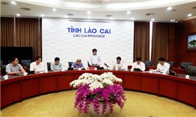 Lào Cai: Công bố 2 bệnh nhân quốc tịch Anh bị nhiễm Covid -19 khi đang lưu trú tại địa phương