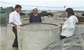 Làng nghề nước mắm An Dương (Thừa Thiên - Huế): Bao giờ hết ô nhiễm môi trường?