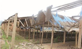 Xóa bỏ làng nghề gạch ngói Cừa: Đất bỏ hoang, người làng nghề thất nghiệp