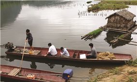 Cá chết hàng loạt trên sông Chu, sông Mã (Thanh Hóa): Doanh nghiệp xả thải ra môi trường là nguyên nhân chính