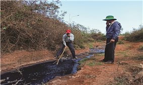 TP. Buôn Ma Thuột (Đăk Lăk): Bắt quả tang doanh nghiệp xả thải ra môi trường