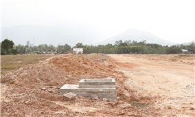 Bình Định: Lãng phí tài nguyên đất vì những khu công nghiệp “treo”