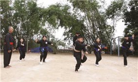 Thực hiện chương trình mục tiêu Phát triển văn hóa ở Bình Định: Hiệu quả rõ nét ở nhiều lĩnh vực