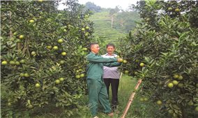 Hà Giang: Những nhà nông sản xuất, kinh doanh giỏi