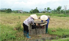 Quảng Ngãi: Nông dân tích cực bảo vệ môi trường