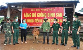 Đồn Biên phòng Hồ Le tặng bò giống sinh sản cho hộ nghèo