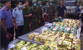 BĐBP tỉnh Hà Tĩnh: Phá đường dây vận chuyển gần 240kg ma túy từ Lào về Việt Nam