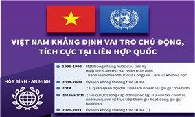 Việt Nam khẳng định vai trò chủ động, tích cực tại Liên hợp quốc