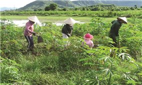 Huyện Vĩnh Thạnh (Bình Định): Dân mỏi mòn chờ sổ đỏ