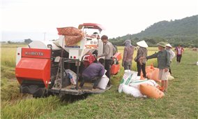 Yên Thành (Nghệ An): Tạo sức bật nhờ cơ giới hóa nông nghiệp