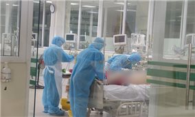 34 ngày Việt Nam không ghi nhận ca mắc COVID-19 ở cộng đồng