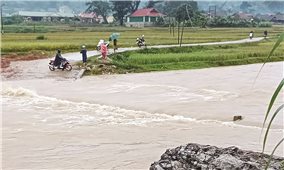 Nghệ An: Khẩn cấp di dời hàng ngàn người dân do mưa lũ
