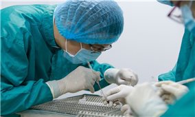 Những thách thức khi sản xuất vaccine Covid-19 ở Việt Nam