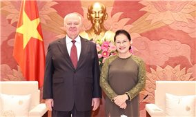 Chủ tịch Quốc hội Nguyễn Thị Kim Ngân tiếp Đại sứ Liên bang Nga và Cuba