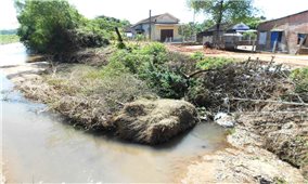 Khắc phục tình trạng sạt lở bờ sông trên địa bàn tỉnh Bình Định: Thiếu kinh phí, địa phương bó tay!